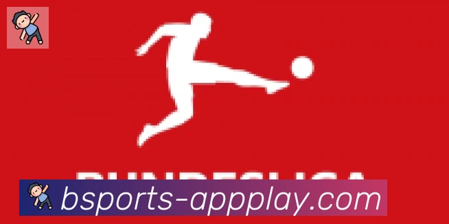 bsports体育合作伙伴